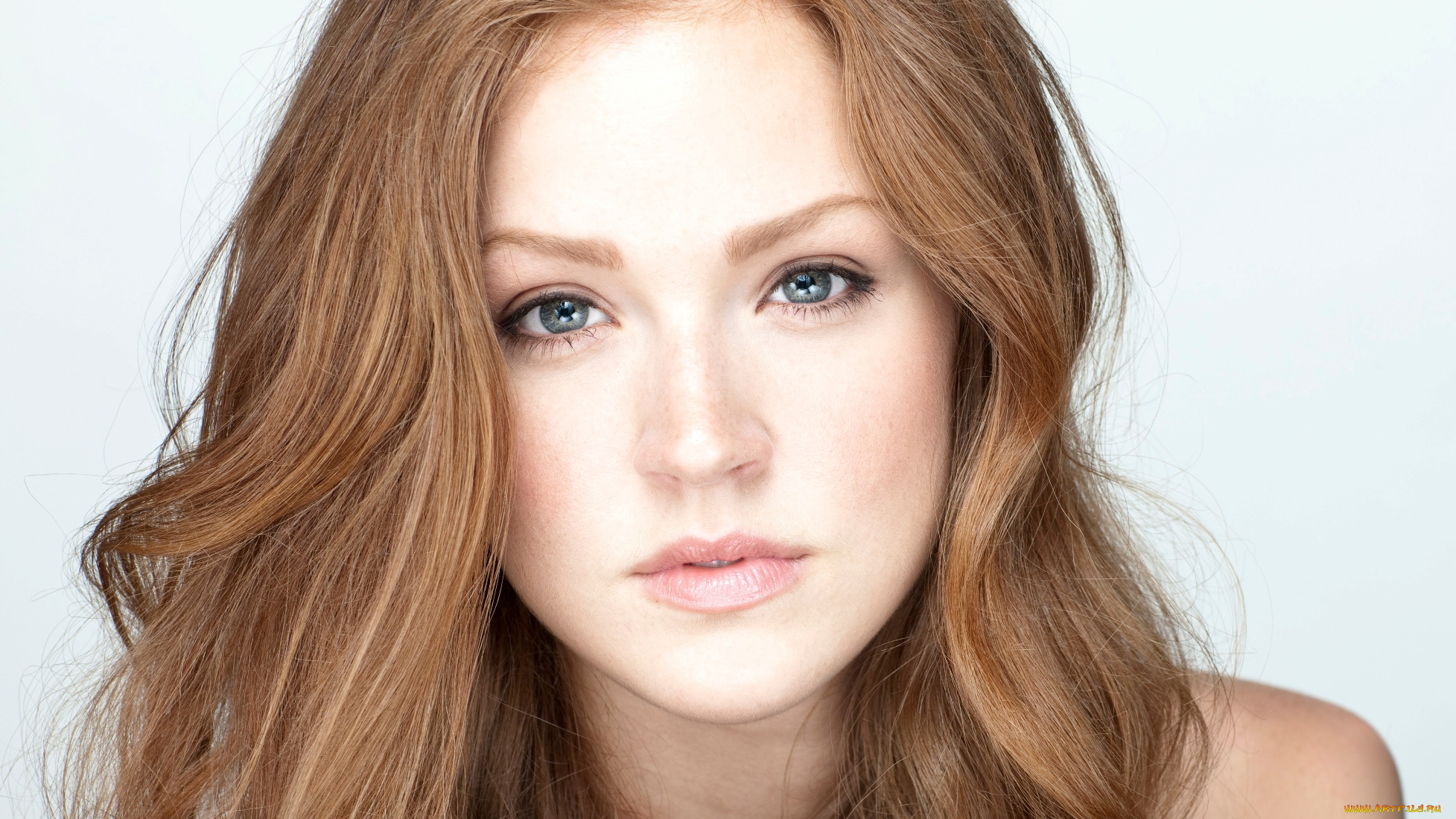 , maggie geha, , maggie, geha